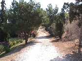 athens greece tourism guide 
