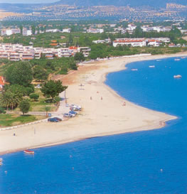 the coastal marsh area and beach