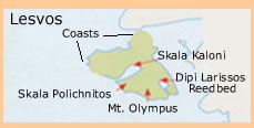 map lasvos