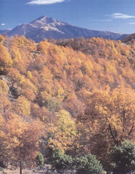 Mount Meniko autmn