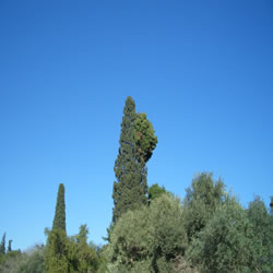 sights to be seen from Temple of Olympian Zeus