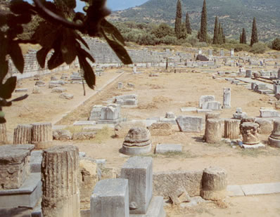 part of the site