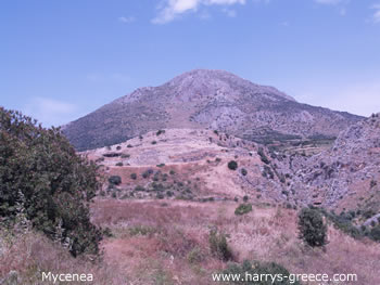 terrain