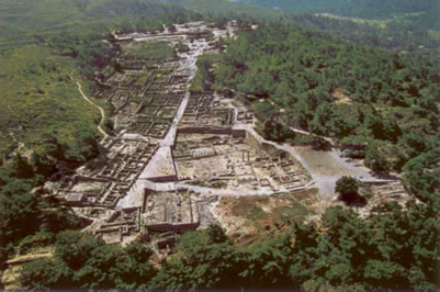 aerial phot of the site
