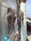 greece greek islands travel tourism guide andi-paros cycaldes