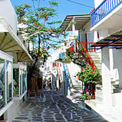 backstreets full of flowers