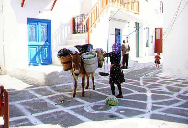 mule conveyance