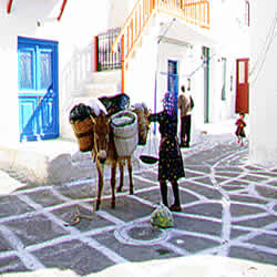 mule