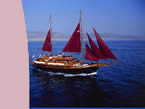 Greek island cruises