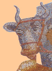 bull mosiac dion