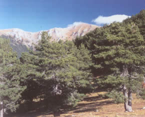 drama national park