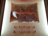 coins from the
Karditsa hoarde 460 BC