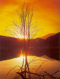 mainland lake nestos