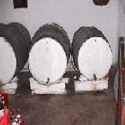 greek wine