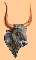bull rhyton