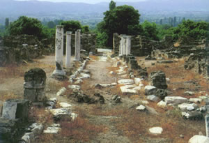 the street of columns