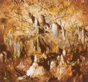 the cave