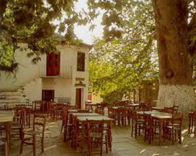 the village square with its plane tree exemplifies 

Greek village life