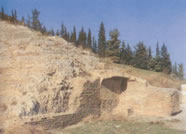 the Odeon