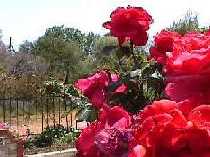 greece peloponnese tourism tourism travel guide greece greek grecian peloponnese 