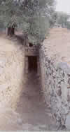 The Minoan Tomb