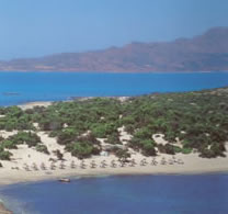 Donkey island or Gold Island This has some nice beaches