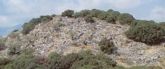 2km distant ruins