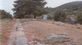 ruis at the temple are scant