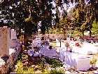 Tilos Greece Travel Greek Islands Cruises Tours Hotels
