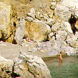 cove view