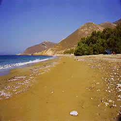 sandy beach