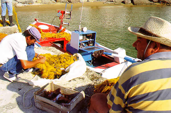 fishermen at work