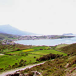 green fields on andi-paros