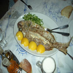 eXpensive but delicious "FAGRI FISH"