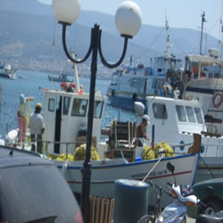 port area
