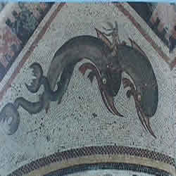 dolphin mosaic