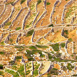 terraced hills