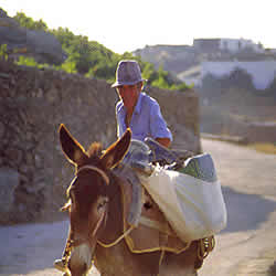 man on a donkey
