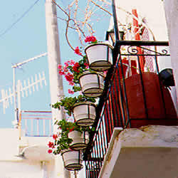 balcony with flower pots