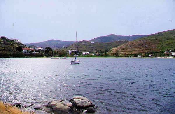bay
