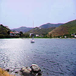 bay