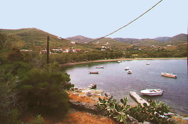 boats