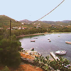 boats