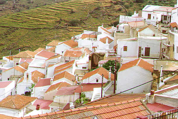 town view