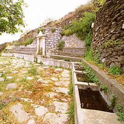 fountain