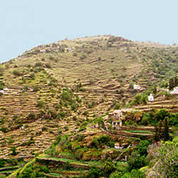 hills