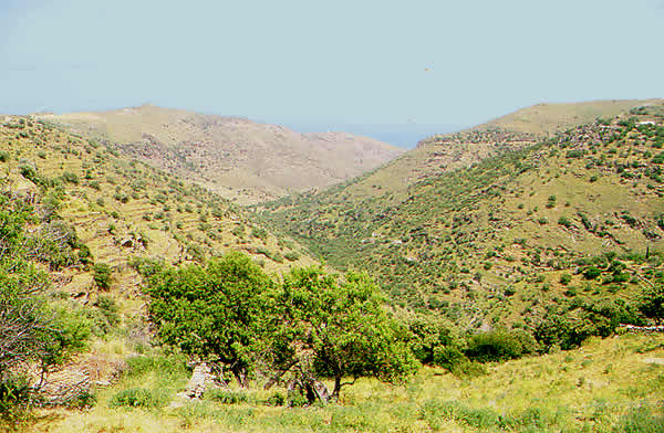 hills out side town