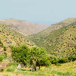 hills