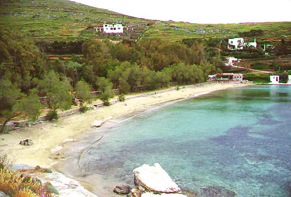 a beach