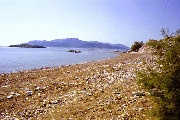 beach